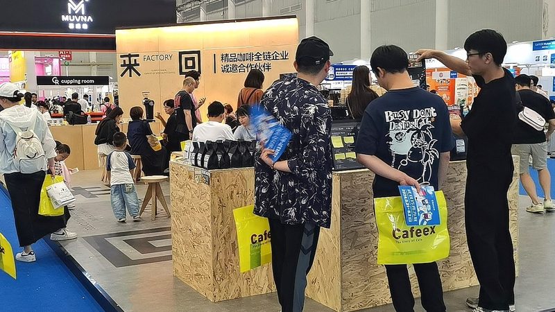 药品包装设计规范：解读标准，保障安全